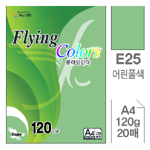 삼원)플라잉칼라(E25.어린풀색/A4/120g/20매)