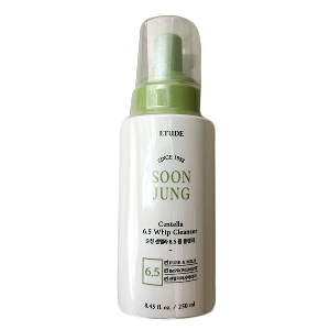탱글탱글 부드러운 버블 약산성 휩클렌저 250ml+250ml