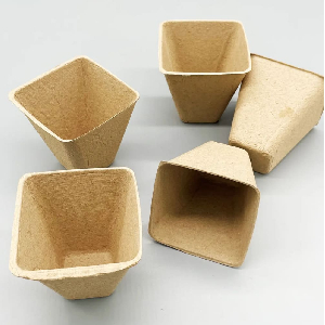 모종 포트 분갈이 육묘 네모 컵 8cm