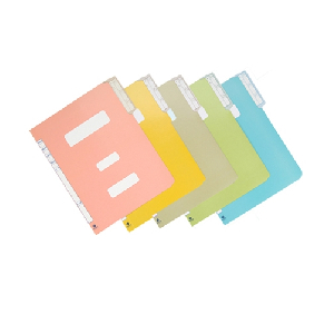 문화)정부화일 A4 (녹색,10권/SET) F194-72