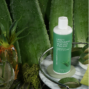 편백잎추출물 보습막형성 피부보습 알로에 로션 300ml
