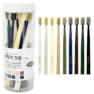 나무이야기 데일리 칫솔 12개입