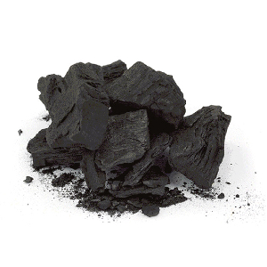 크린참숯 700g